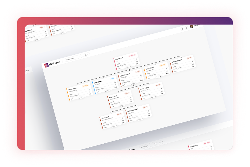 Organisational Design-1